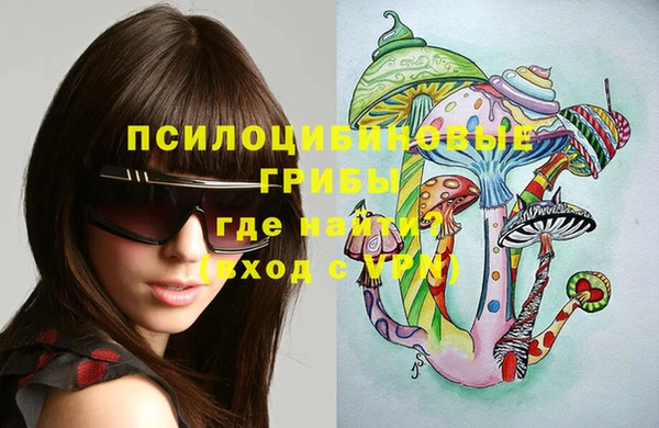 винт Алзамай